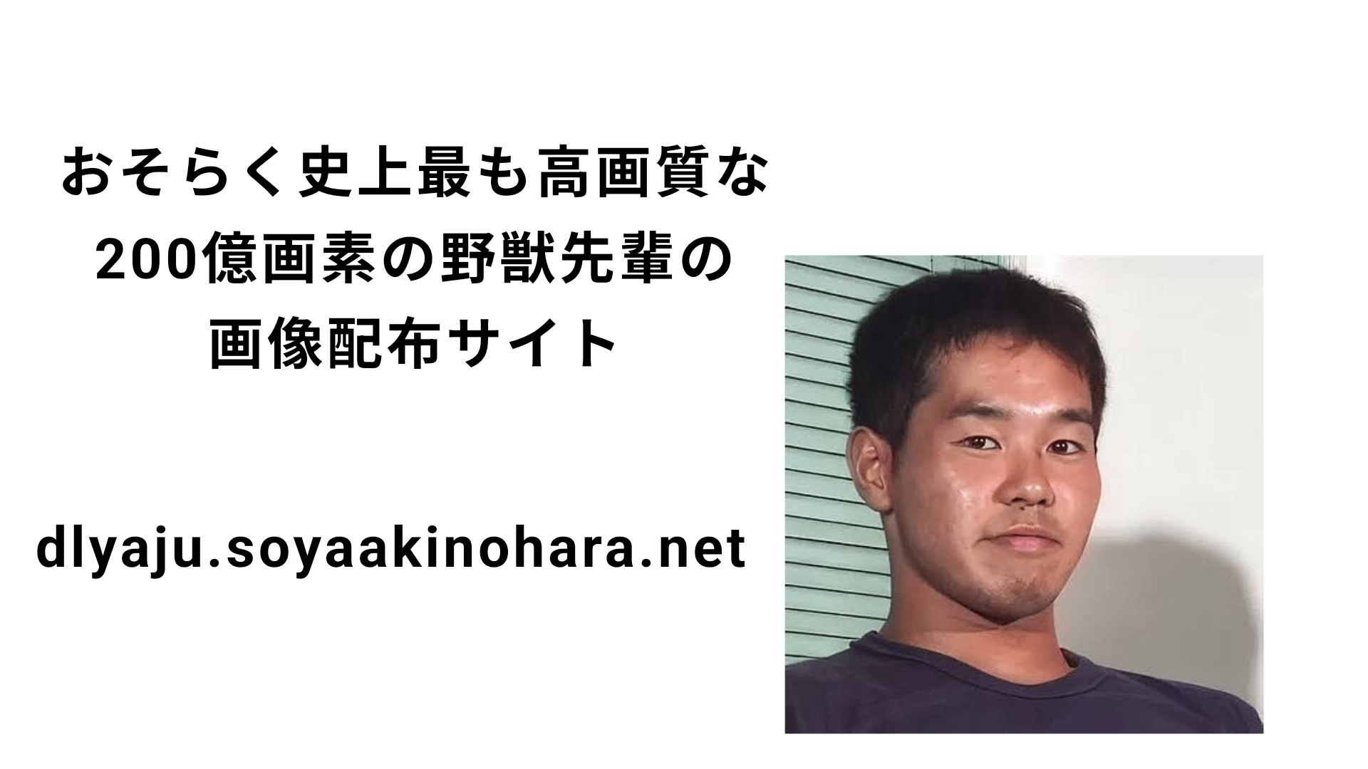 OGP画像